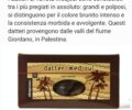 Novità da assaggiare